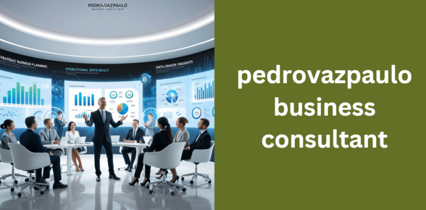 pedrovazpaulo business consultant