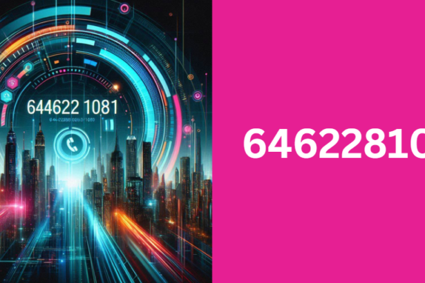6462281081